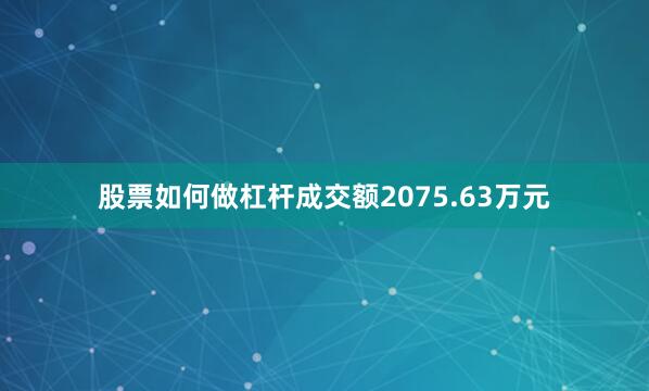 股票如何做杠杆成交额2075.63万元