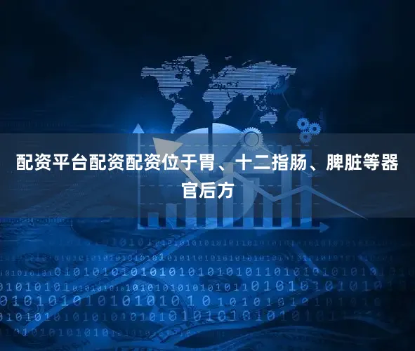 配资平台配资配资位于胃、十二指肠、脾脏等器官后方